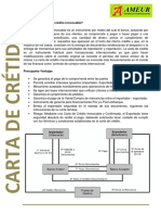 10 Carta de Credito Irrevocable