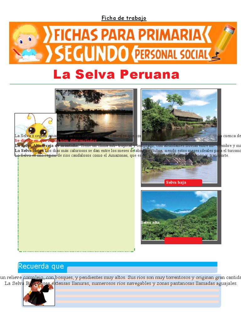 Explorando La Selva Peruana Para Niños Pdf Selva 