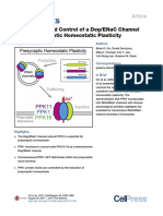 Composition and Control of A Deg/Enac Channel During Presynaptic Homeostatic Plasticity