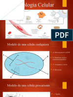 Biología Celular Act Cierre