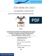 Estudio de pre-factibilidad planta bolsas ecológicas Cusco