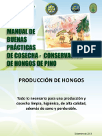 Cosecha de Hongos