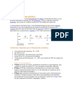 Fermentación Alcohólica