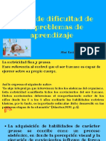 Areas de Dificultad de Los Problemas de Aprendizaje