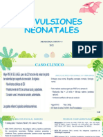 Convulsiones Neonataless