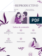 1.1 Riesgo reproductivo. Carla Samantha González López. Sección 10. 5to año.