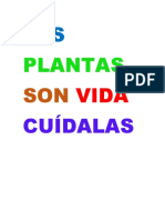 Las Plantas Son Vida Cuídalas