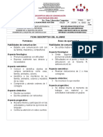 Fichas Areas de Comunicacion Concordia