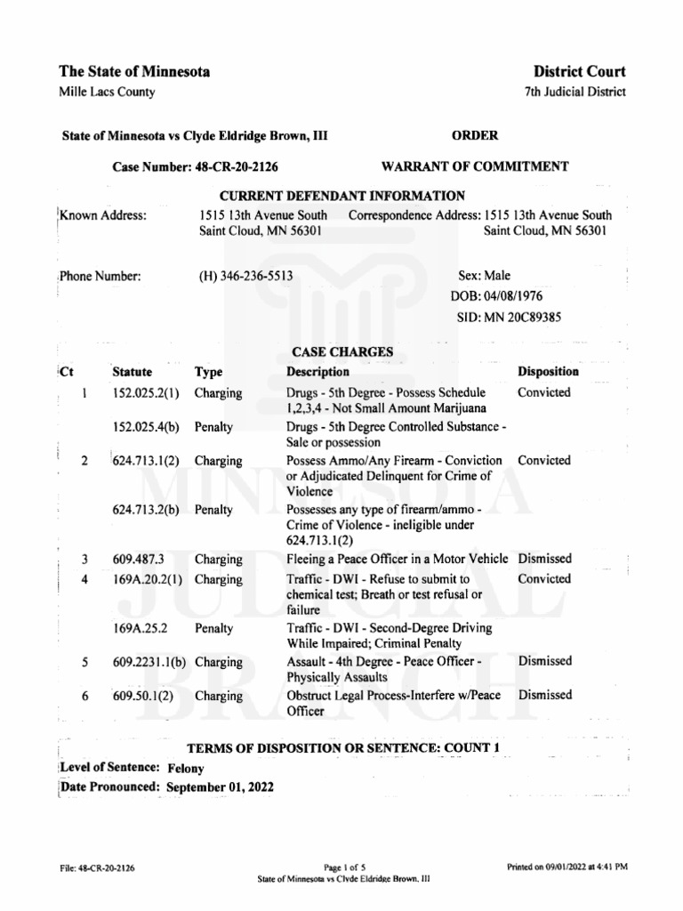 Brown Sentencing Order PDF Driving Under The Influence United