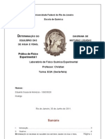Relatório Equilibrio Agua Fenol