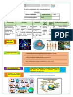 FICHA 16 - 5° AÑO - Niveles de Organización