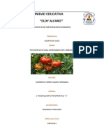 Proyecto de Huerto de Tomate