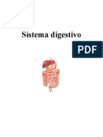 Sistema Digestivo