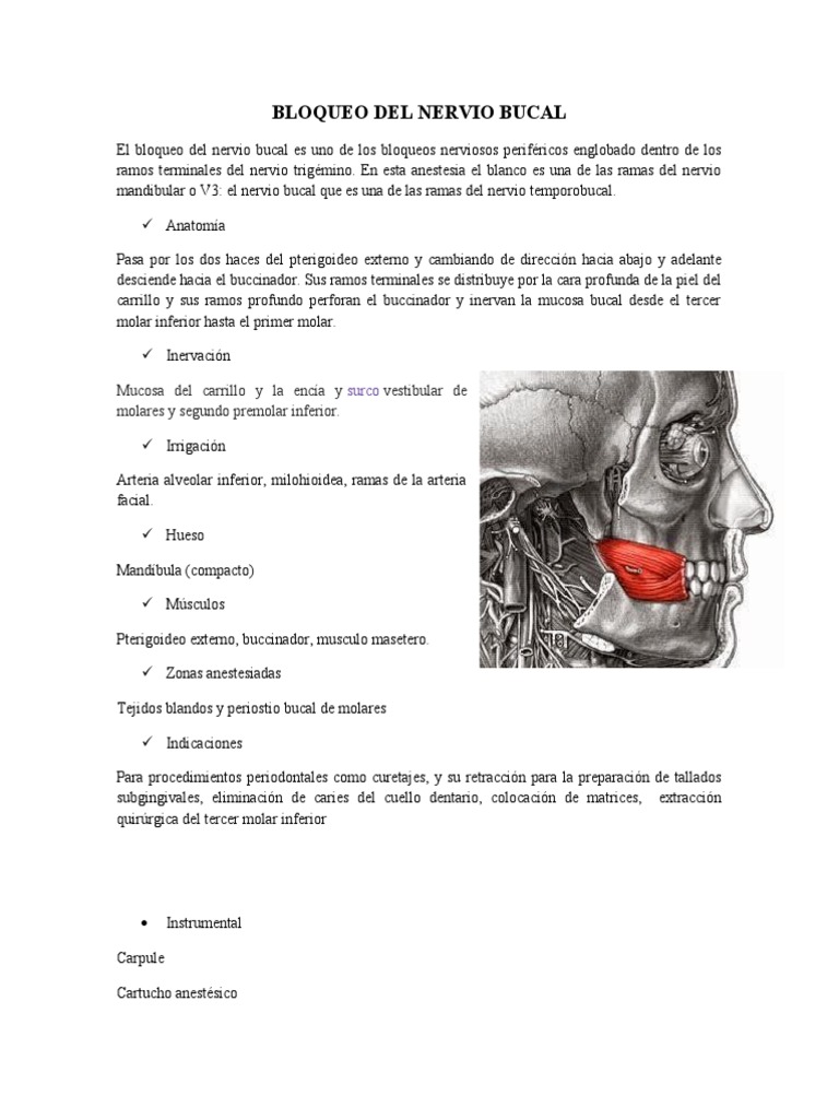 Bloqueo del Nervio Bucal: Técnica y Uso | PDF