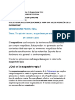 Magnetismo para La Salud de Los Riñones