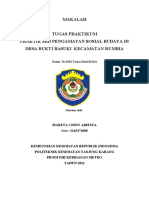 Makalah Tugas Praktikum Praktik SBD Pengamatan Sosial Budaya Di Desa Rukti Basuki Kecamatan Rumbia