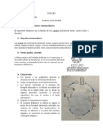 Foro #3-Taenia Multiceps