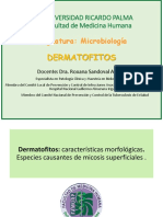 Dermatofitos: características morfológicas y clasificación