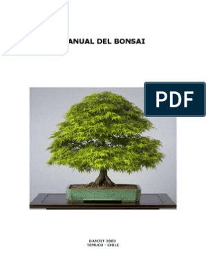 100 ideas de Bonsai de alambre  bonsai, árboles de alambre, árboles bonsai