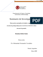 Seminario de Investigación: Dirección: Dr. Sebastián Fernando Cavalitto