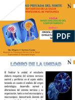 Origen y Estructura Del Sistema Nervioso