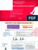 Soporte Basico Vital