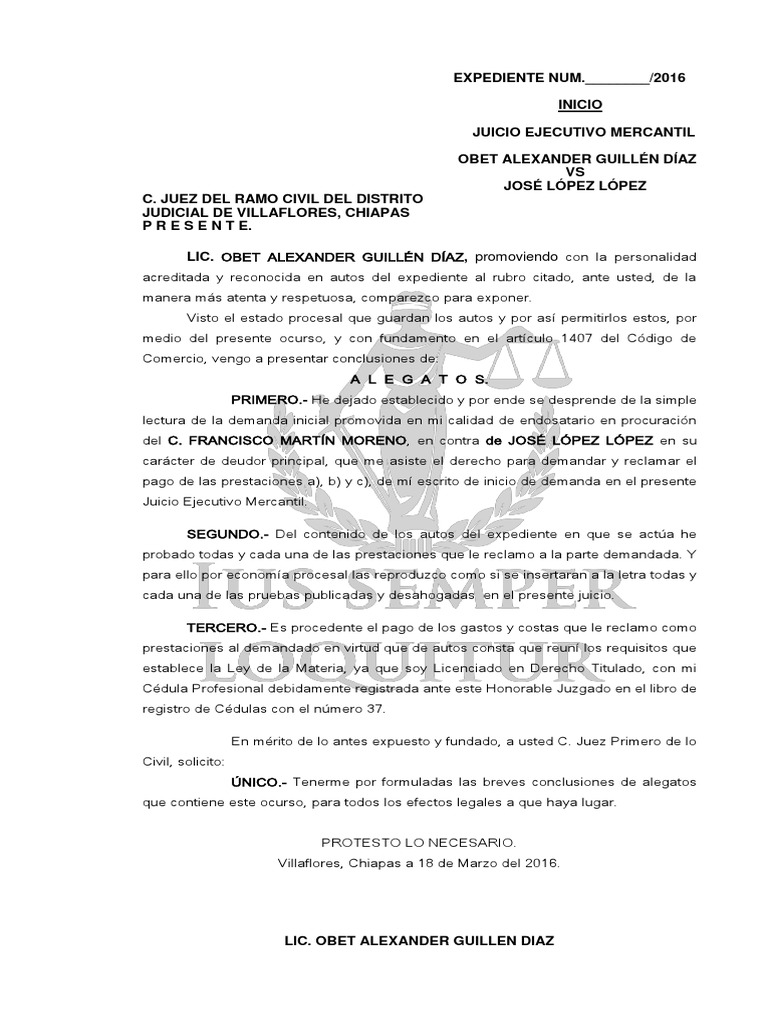Alegatos Parte Actora | PDF | Demanda judicial | Ley procesal