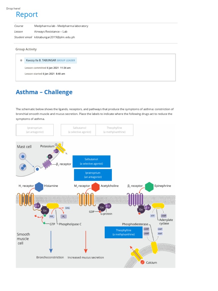 Airways Resistance Lab Report Download Free PDF Acetylcholine