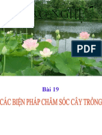 Cac Bien Phap Cham Soc Cay Trong
