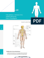 Daño Articular. OA.