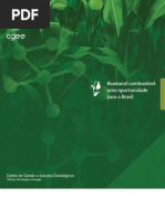 5Bioetanol de Cana de Açucar 2009