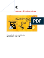 Endotermicas y Exotermicas: Blanca Isela Andrade Chacón Mecatrónica-206-T.M