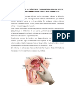 Como Desinflamar La Próstata de Forma Natural Con Una Receta Extremadamente Barata y Que Podrás Realizar en Casa