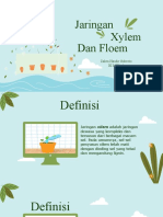 Jaringan Xylem Dan Floem