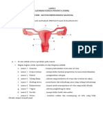 LKPD I - Sistem Reproduksi Manusia