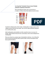 5D. What Is Causing Your Knee Pain Tendonitis How To Know Patellar Tendonitis Quadricep Tendonitis