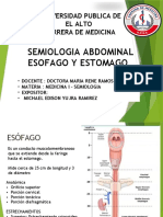 Esofago - Estomago