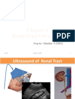 Renal Ultrasound