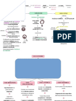 Ciclo Ovárico y Uterino