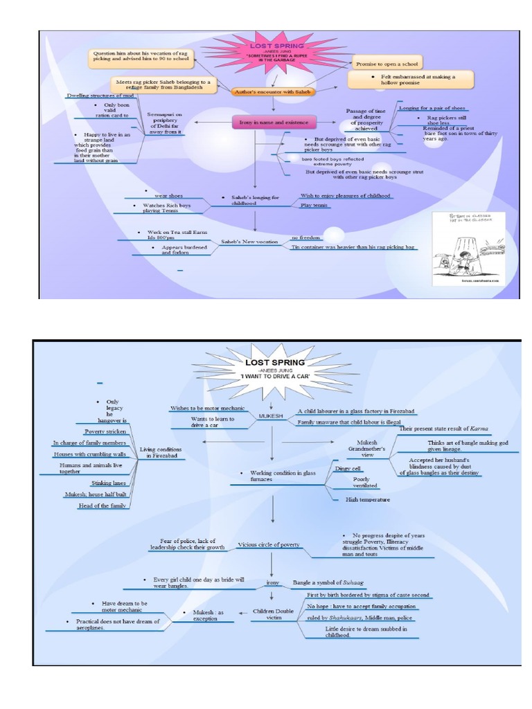 Lost Spring Mind Map | PDF