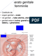 Cura del pavimento pelvico  Valentina Maistri Ostetrica