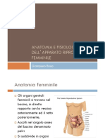 Anatomia Fisiologia Femminile