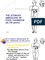 13 Stomach