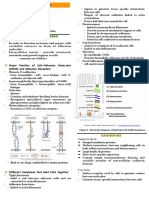 Module 1 - Lesson 5 CMBIO