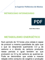 Aula7-Metabolismo Intermediario