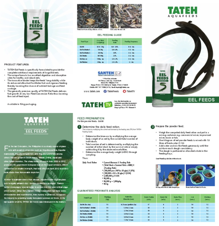 guide-to-feeding-eels-best-practices-for-nutrition-growth-rates-and