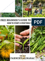 Beginners Guide To Gardening