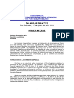 Comision Especial Primer Informe