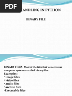 File Handling in Python (Binary Files)