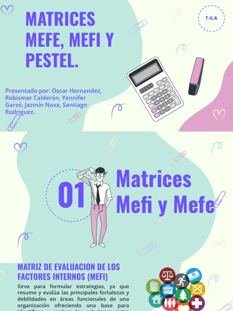 Análisis de Matrices MEFI y MEFE | PDF | Business | Matriz (Matemáticas)